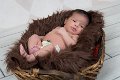 New Born